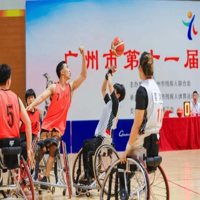 乒乓球冠军竞争格局的全新数据洞见解析